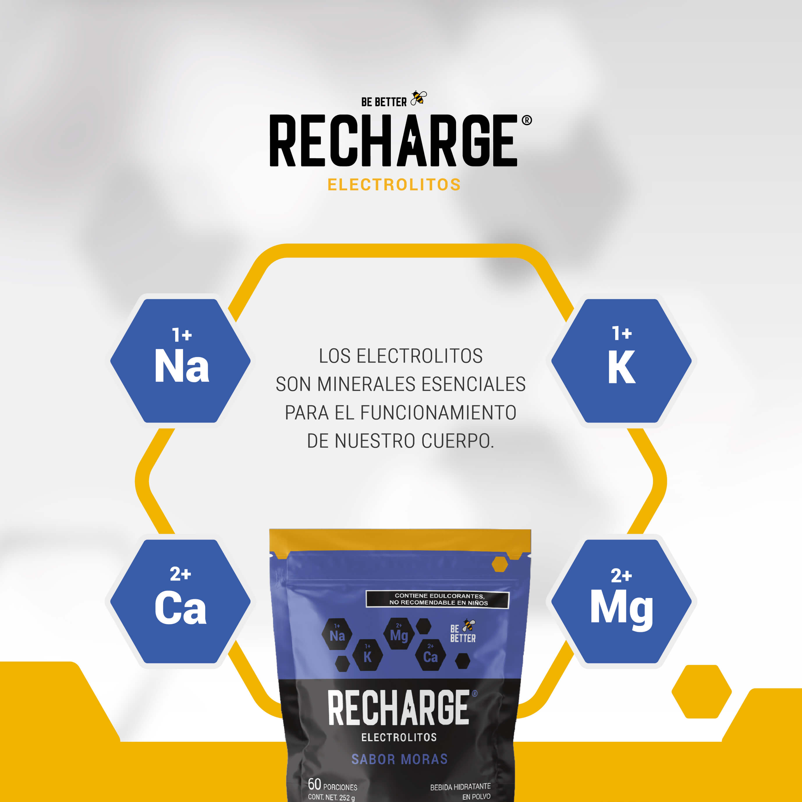 RECHARGE | Electrolitos en polvo | Moras