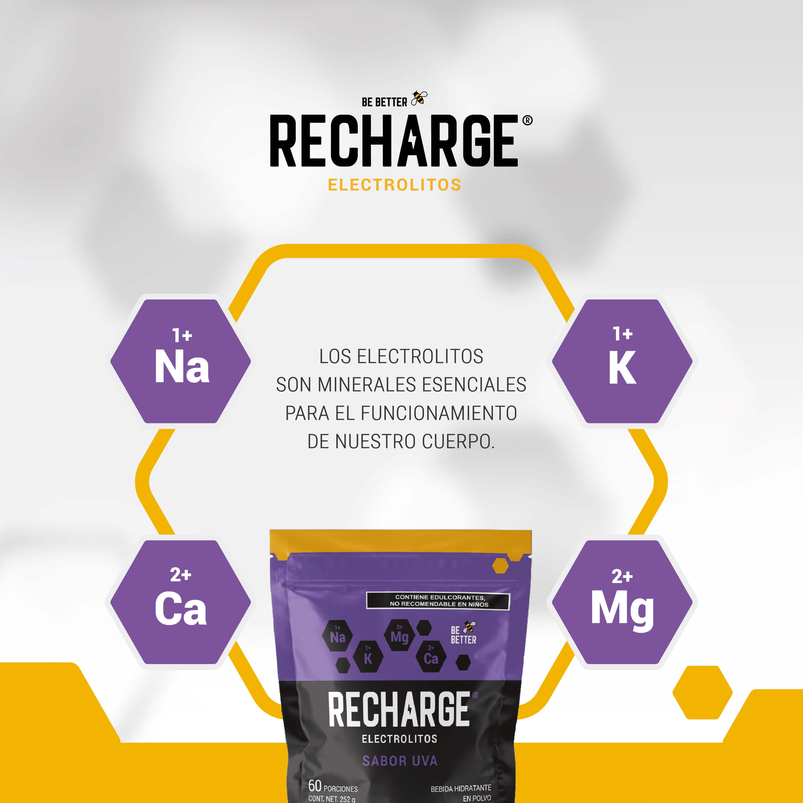 RECHARGE | Electrolitos en polvo | Uva