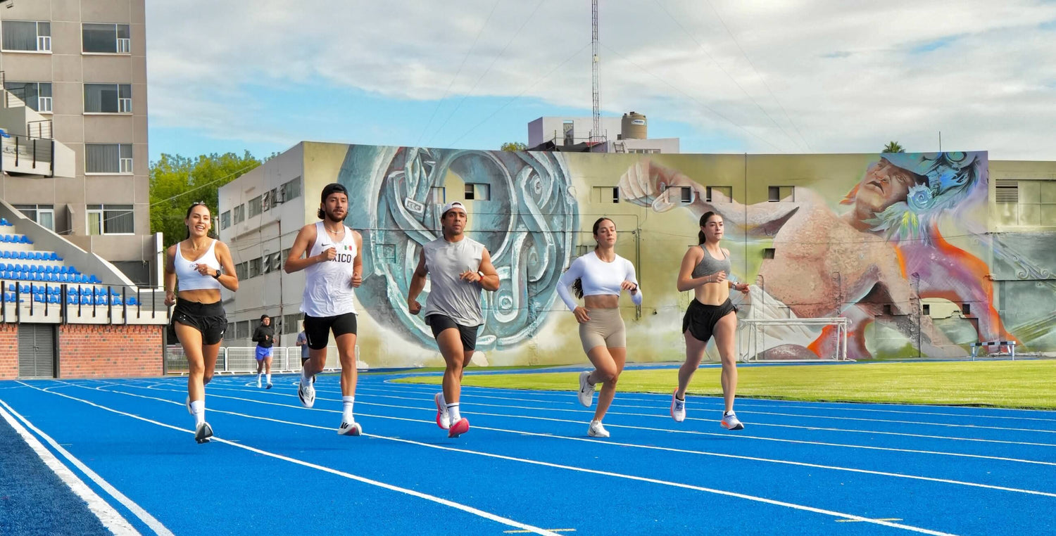La disciplina como acto de libertad