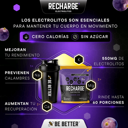 RECHARGE | Electrolitos en polvo | Uva
