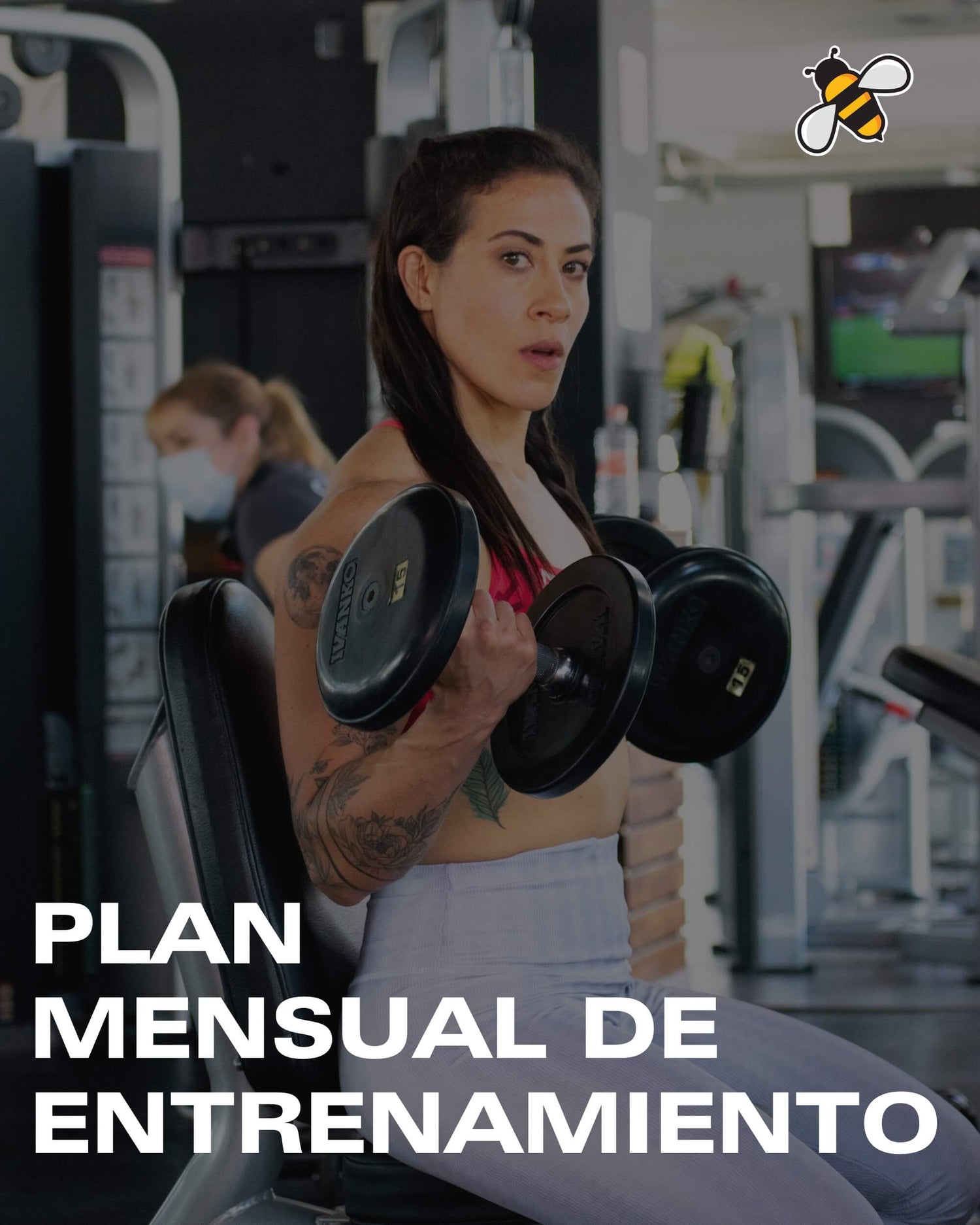 Plan Mensual de Entrenamiento