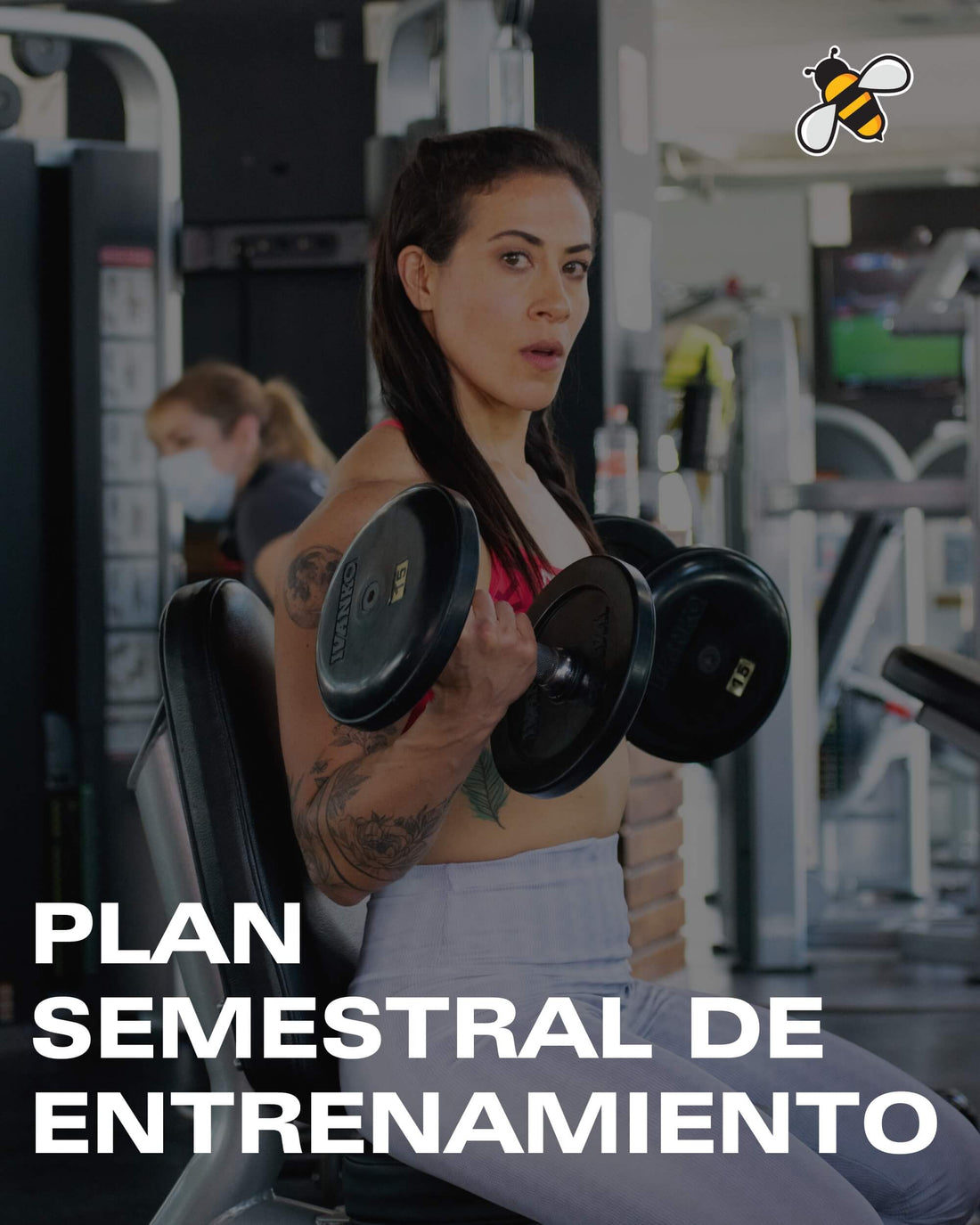 Plan Semestral de Entrenamiento