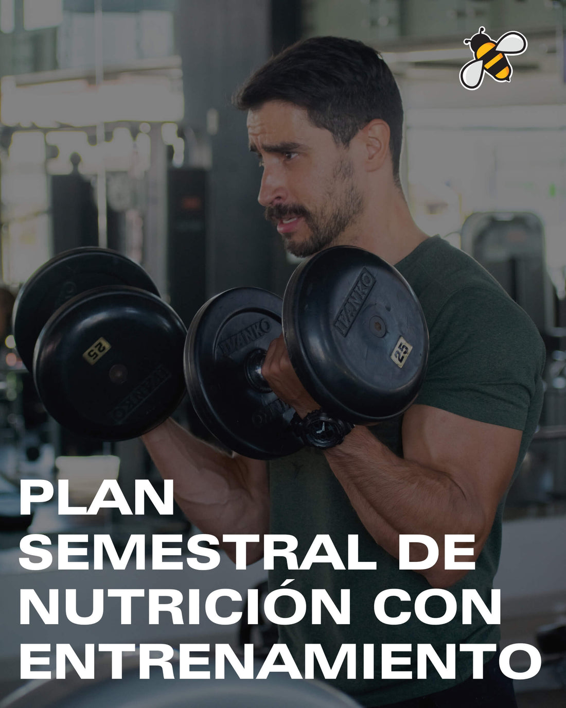 Plan Semestral de Nutrición con Entrenamiento