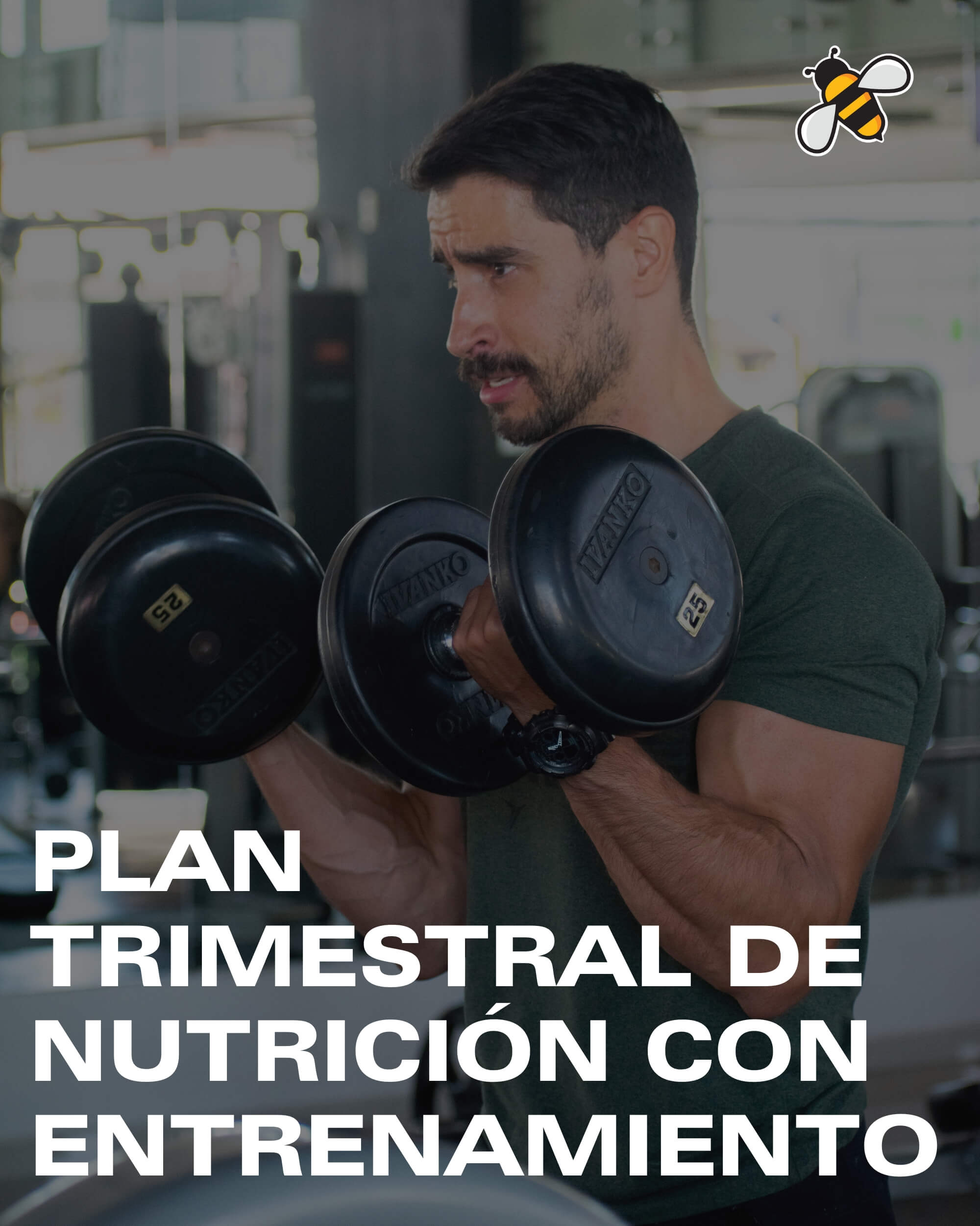 Plan Trimestral de Nutrición con Entrenamiento